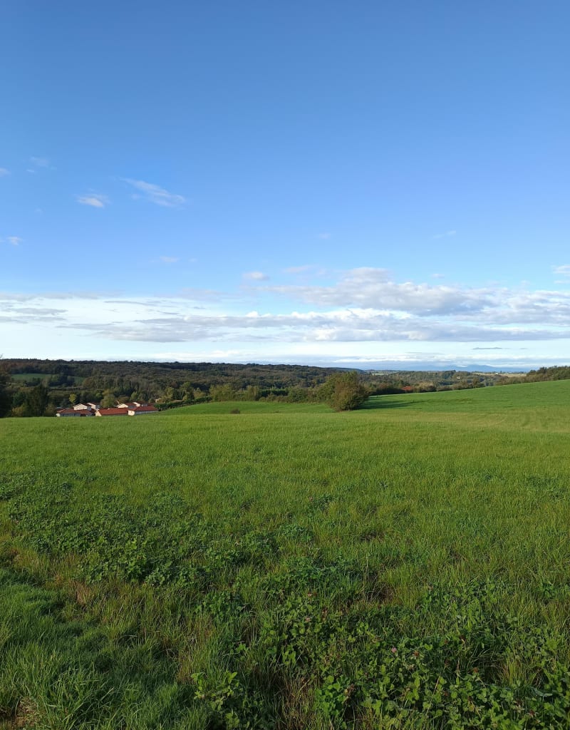 Balade matinale à Lieudieu - Lieudieu