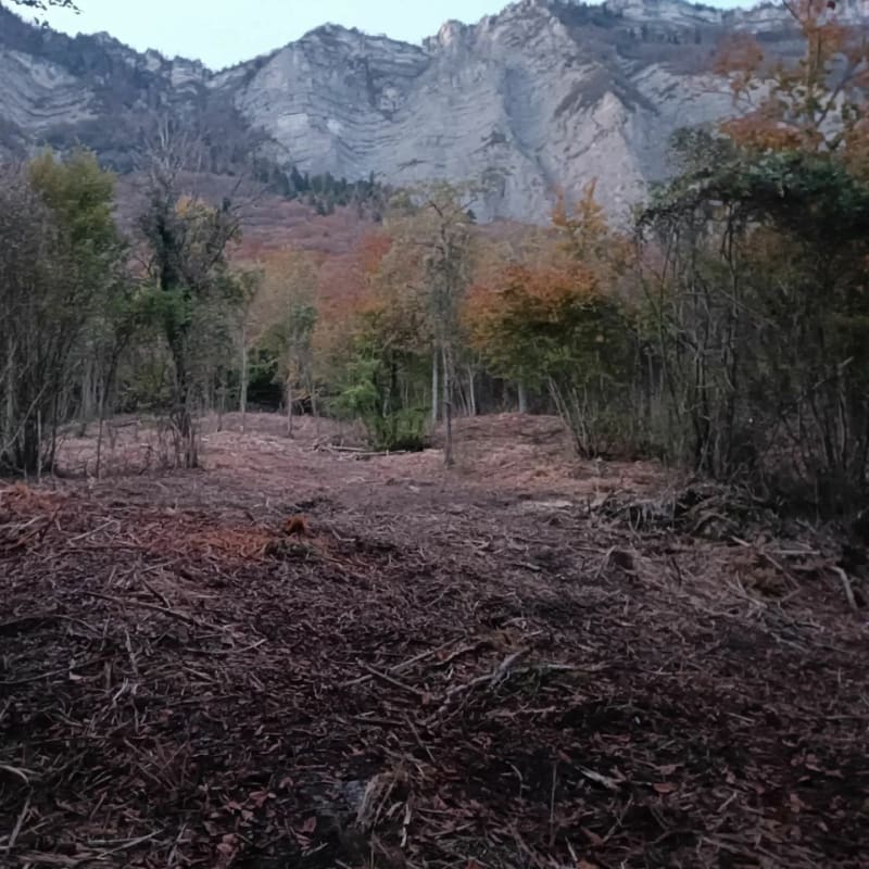 Au pied de la Chartreuse - Saint-Ismier