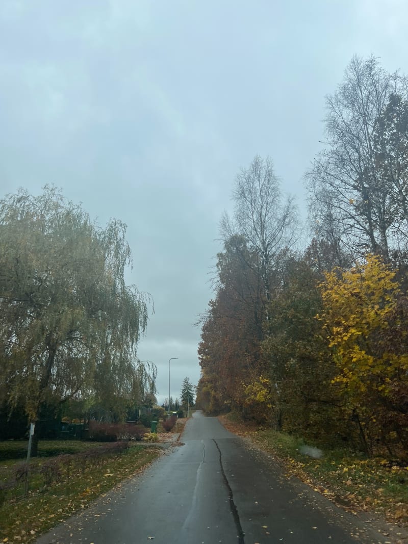 Dzierżążno - Dzierżążno