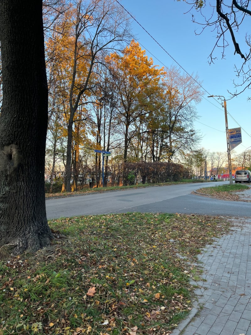 Będzin Warpie-Zielona-Będzin Warpie - Będzin