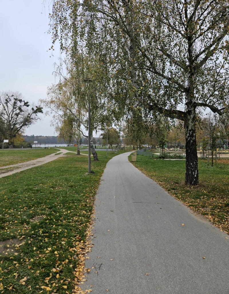 Dookoła strzerzynka - Poznań