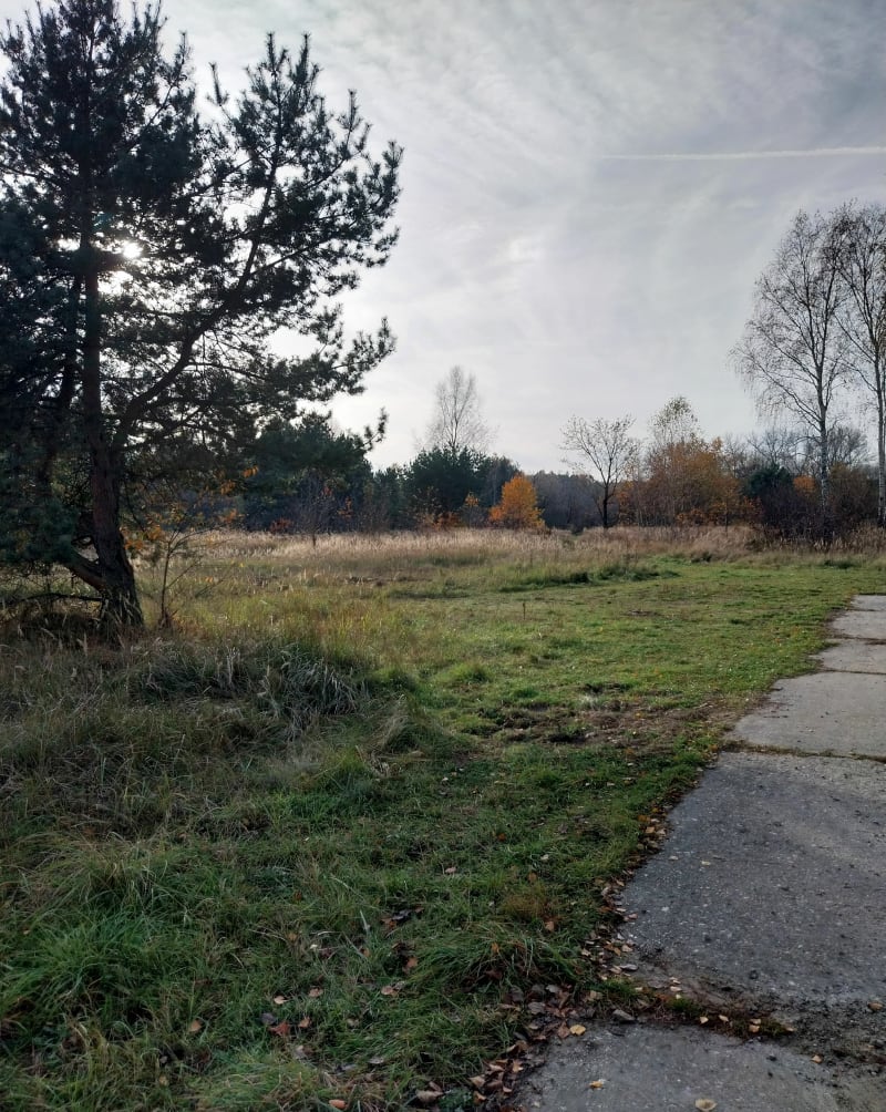 Wzdłuż Przemszy i Wąwolnicy - Jaworzno