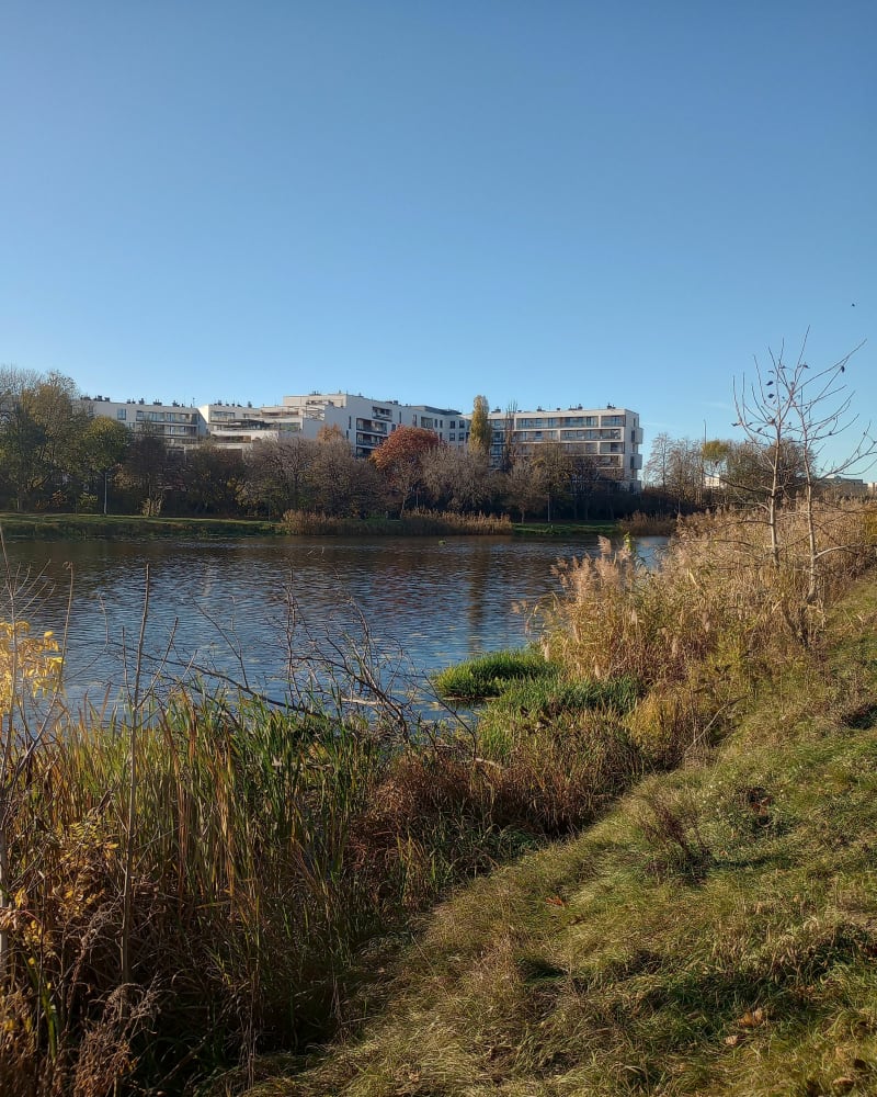 Wzdłuż wody na Pradze Południe - Warszawa