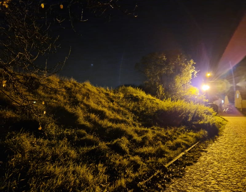 Spacer buwary piotrówka - Radom