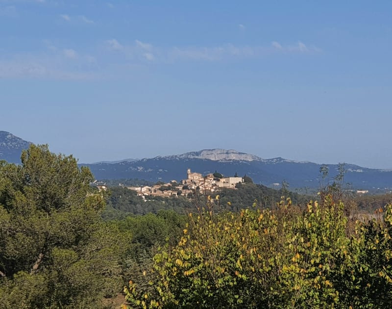 Aiguelongue - Parc Montmaur - Montpellier
