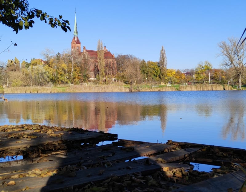Dookoła stawów w Nowej Wsi Królewskiej - Opole