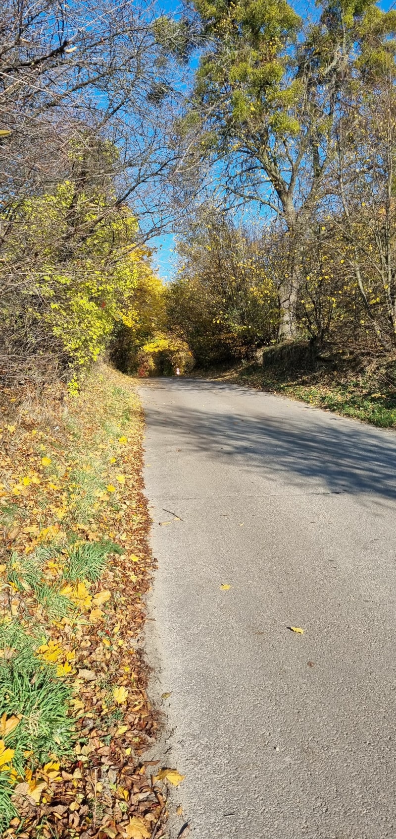 Nałęczowska Flandria - Drzewce
