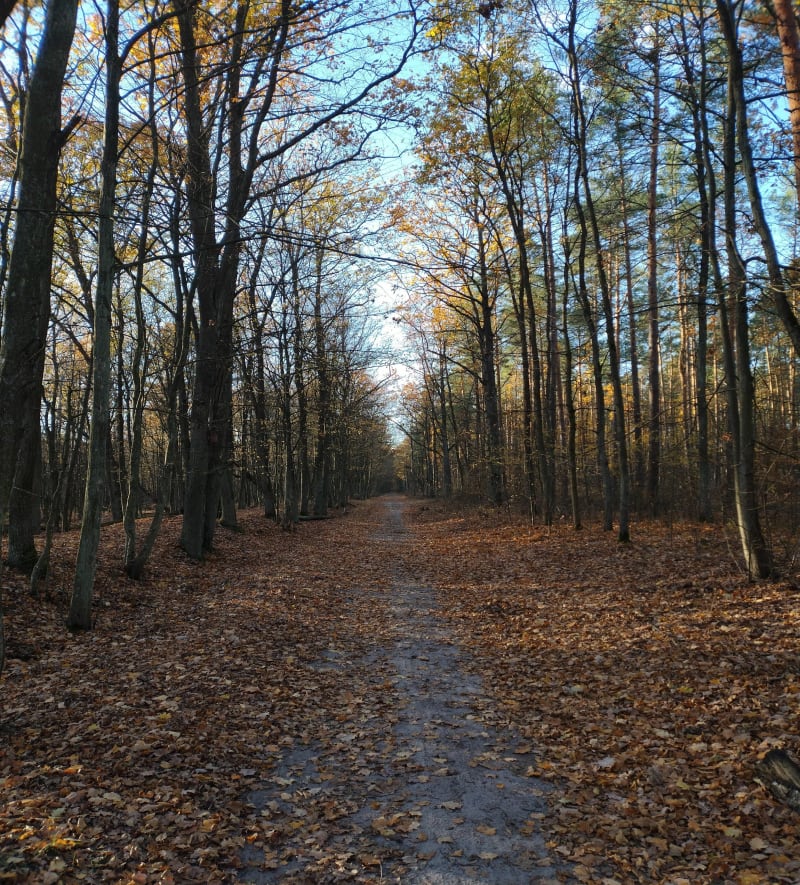 Szlak kolejki do kopalni torfu - Rezerwat Puszcza Słupecka - Marki