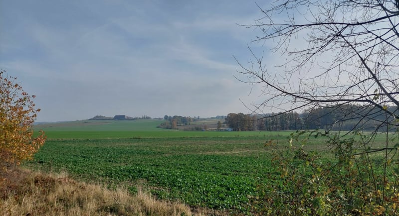 Z Zawidowa przez Stary Zawidów - Zawidów