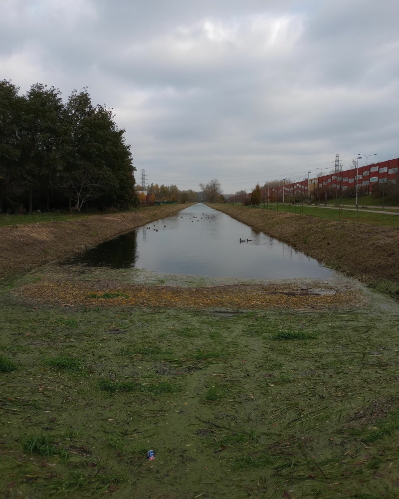 Pętla wzdłuż kanału Nowa Ulga - Warszawa