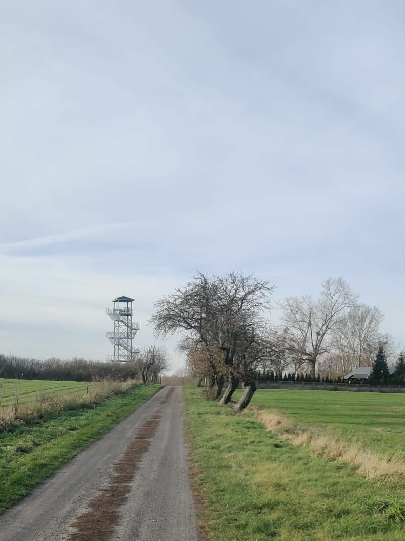 Trasa przez Piaski - Piaski