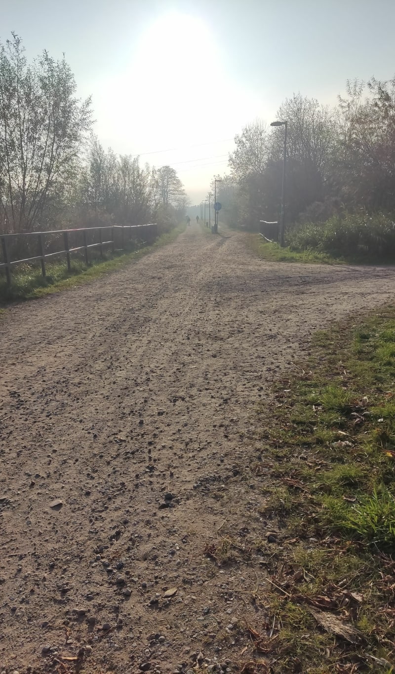 Łynostrada - Olsztyn