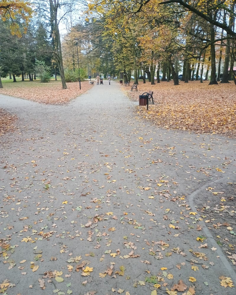 Trasa w koło parku - Elbląg