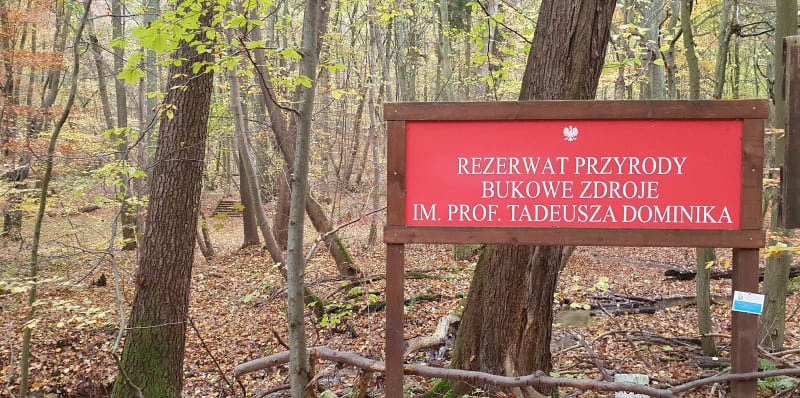 Głaz Grońskiego, Głaz Serce, Kamień Młyński trasa widokowa - Szczecin