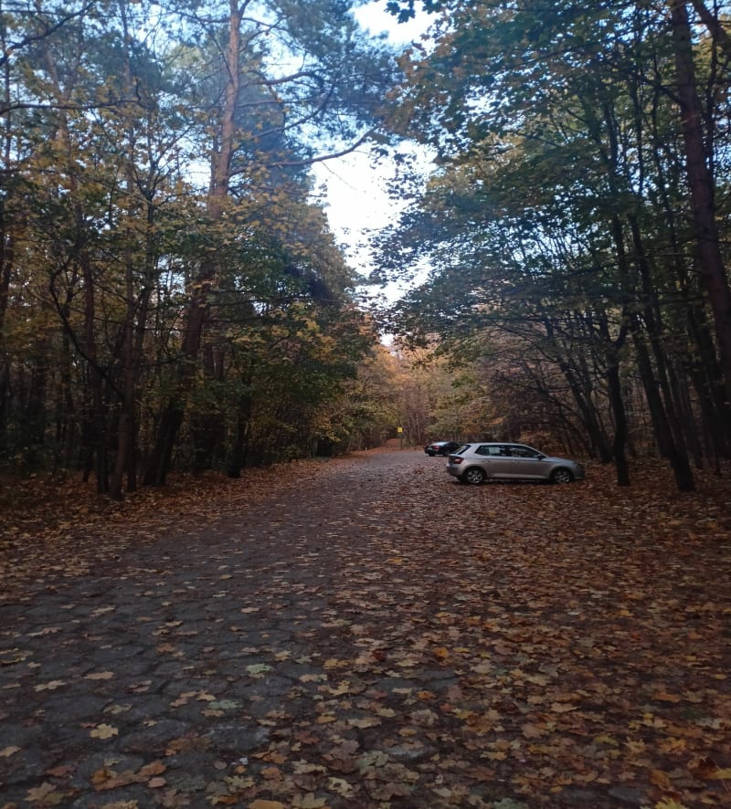Spacer nad Cybiną - Poznań