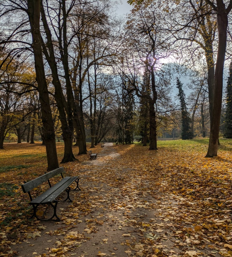 Spacer po alejkach w Łazienkach Królewskich - Warszawa