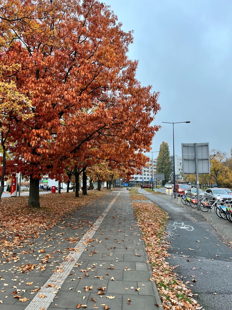 Trasa po osiedlu - Warszawa