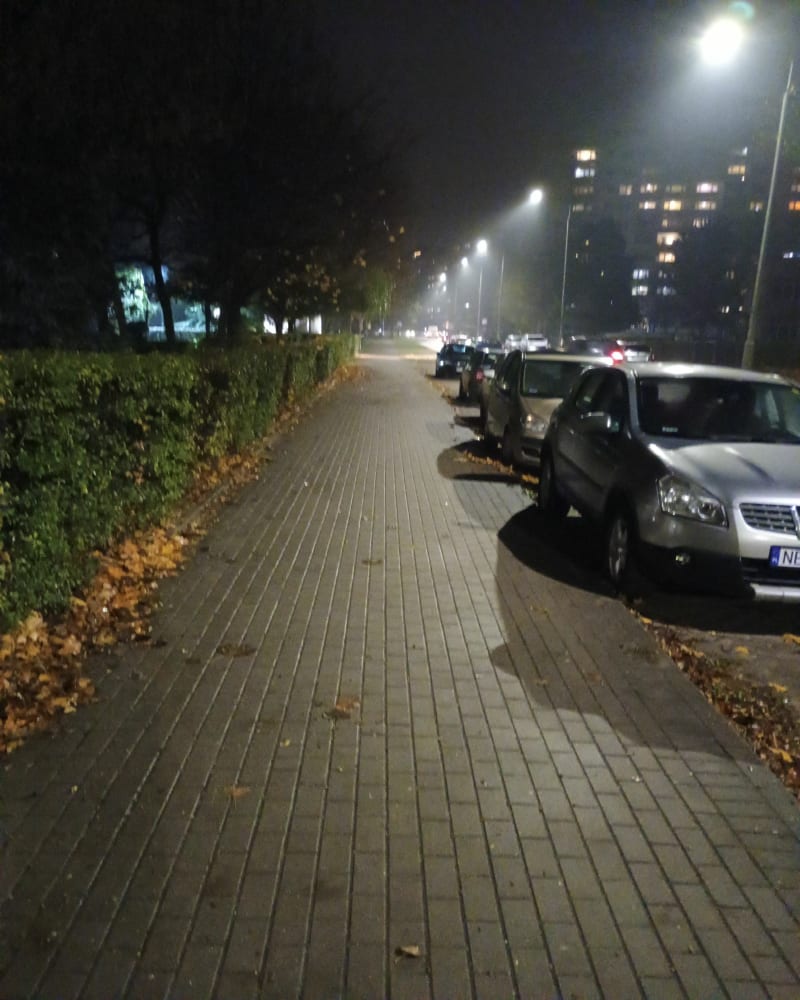 Rundka w parku - Elbląg