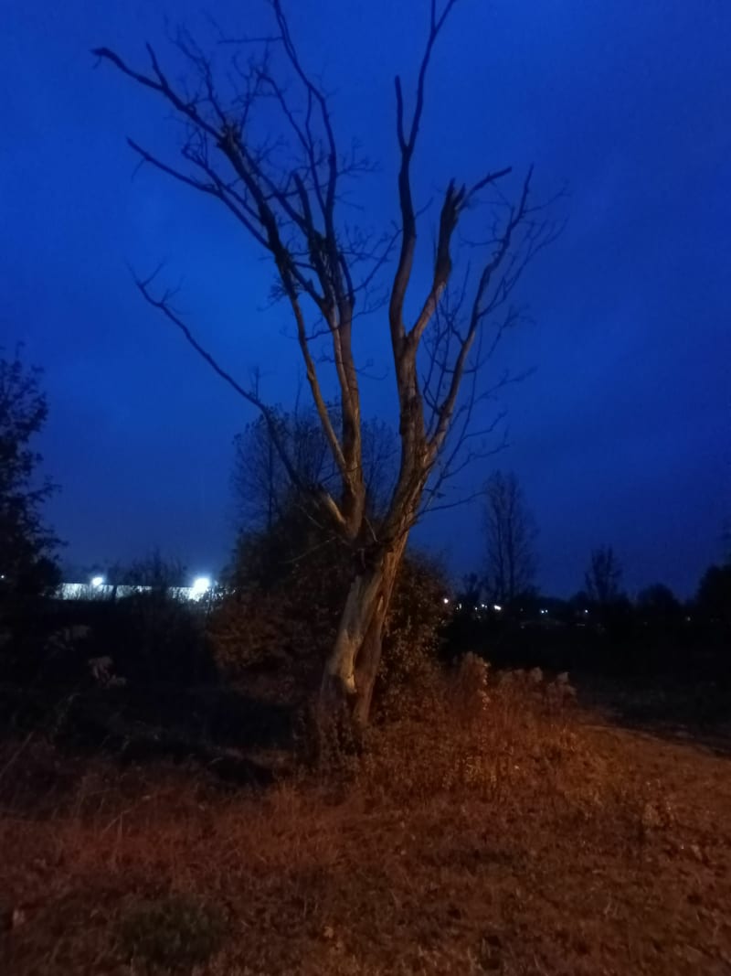 Spacer wzdłuż zalewu do pałacu Lubomirskich ko - Białystok