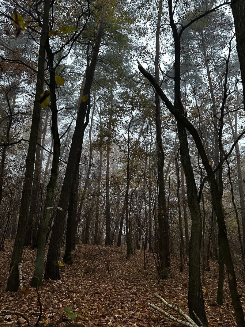 Słupno nad rzekę - Słupno