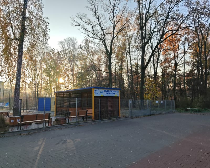 Pieszo, biegowo przy najstarszej sośnie - Mińsk Mazowiecki