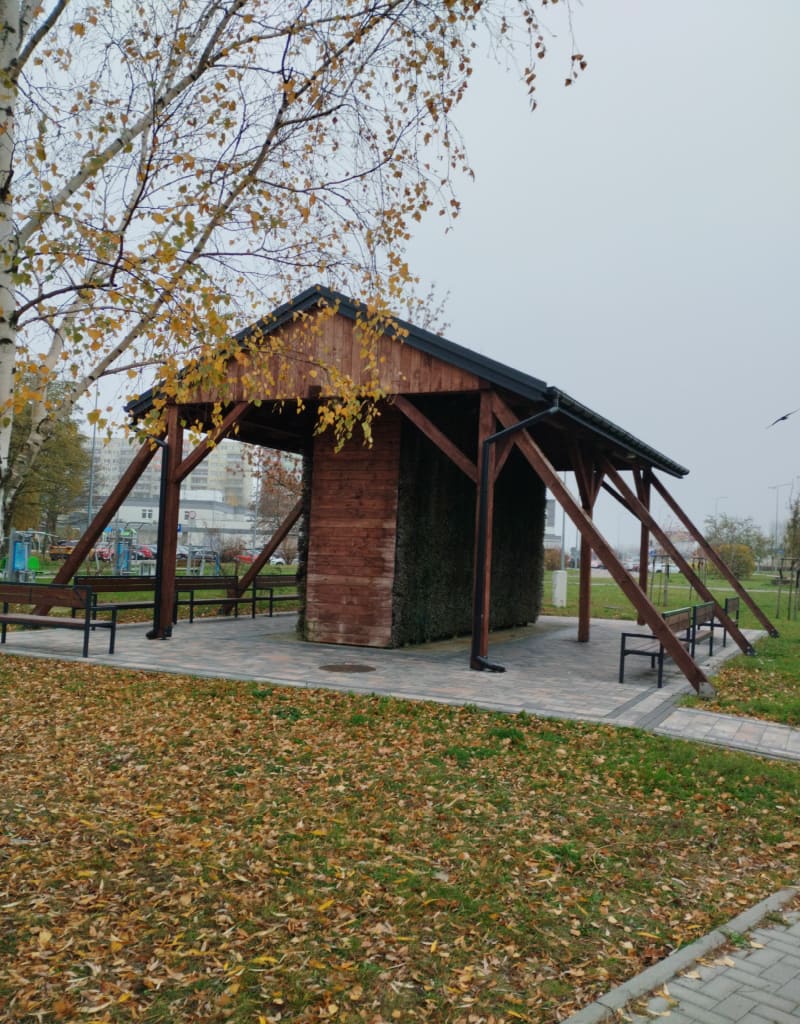 Międzytorze Płock - Płock
