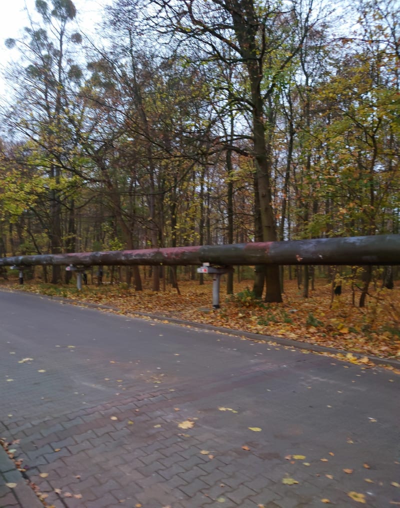 Ścieżka w koronach drzew w Poznaniu - Poznań