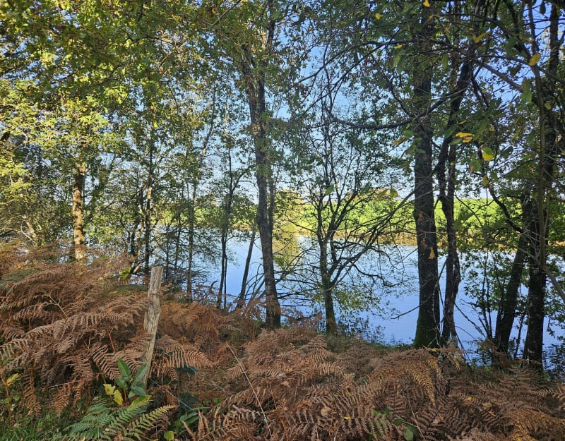 Sentier des Étangs XL - La Meyze