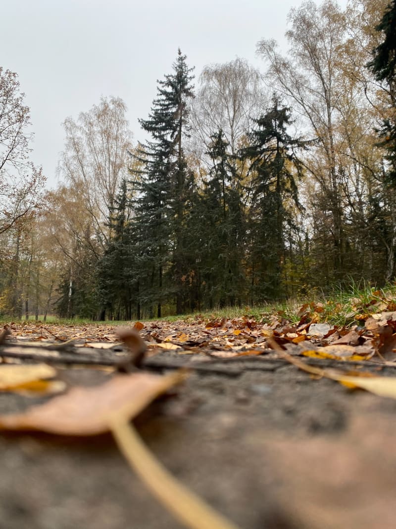 Trasa biegowo-spacerowa - Łódź