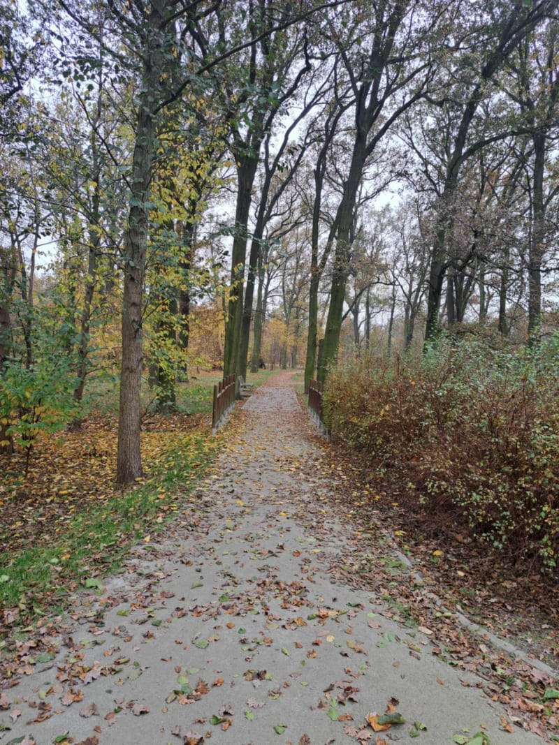 Park Maślicki - Wrocław