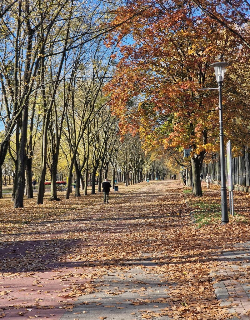 Park Mickiewicza w Bytomiu- Zoo w parku Śląskim w Chorzowie - Bytom