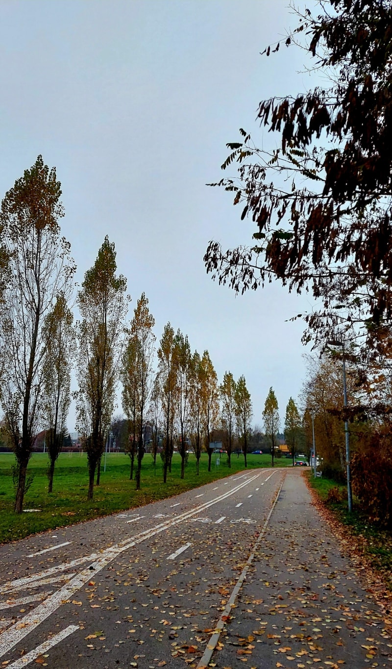 Velostrada - Jaworzno