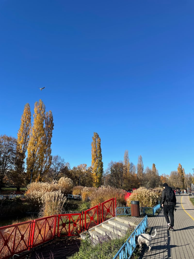 Park Szymańskiego, Park Moczydło i Lasek na kole - Warszawa
