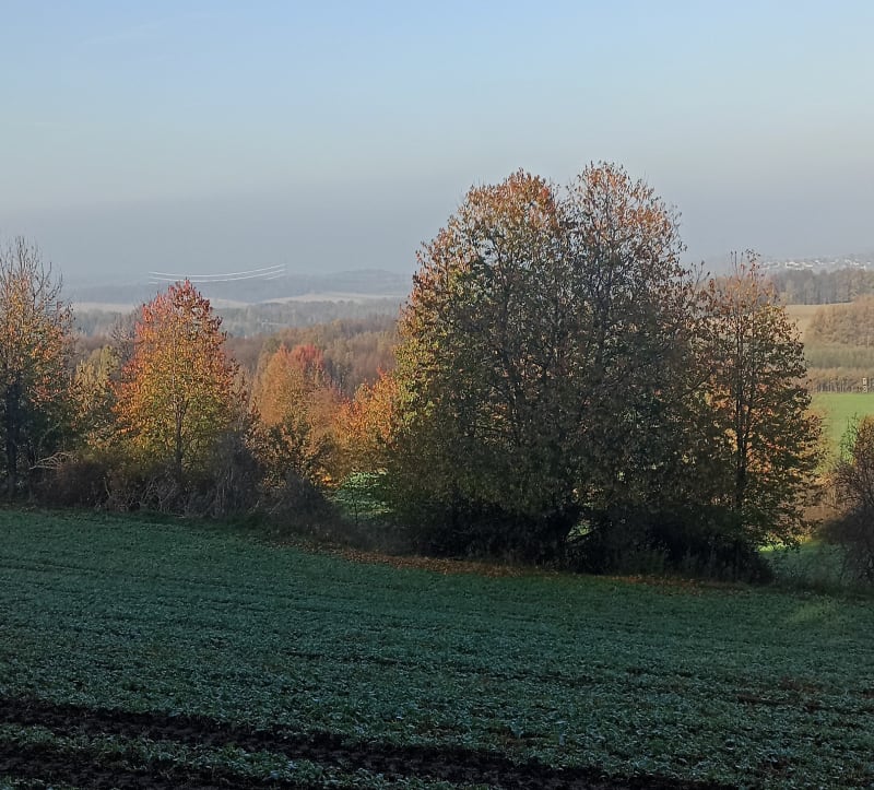 Agatowe pola - Lwówek Śląski