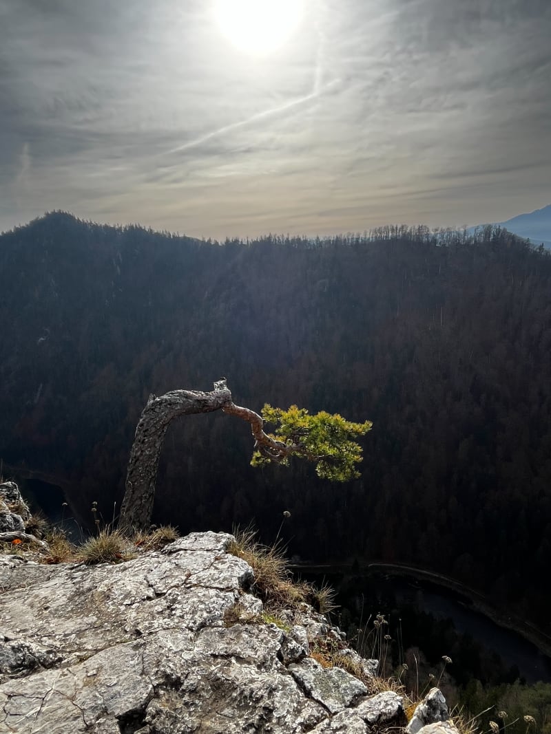 Sokolica z Krościenka nad Dunajcem - Krościenko nad Dunajcem