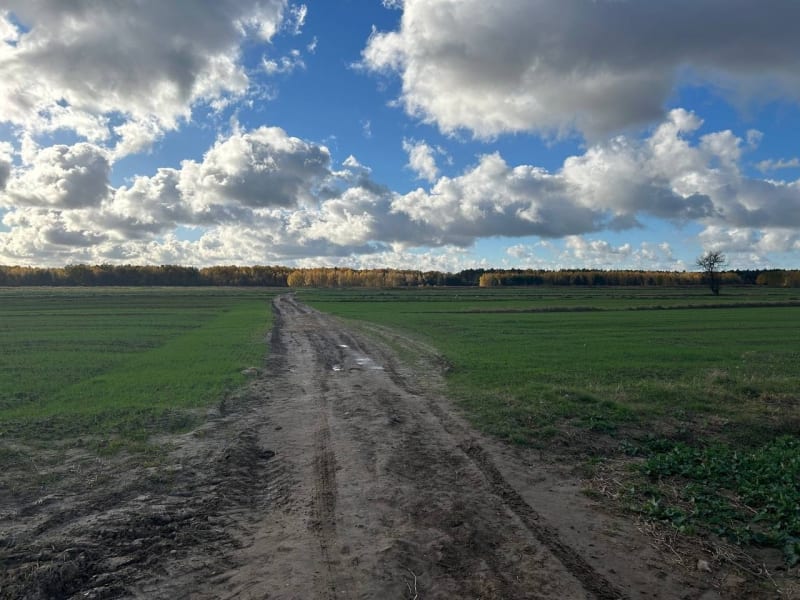 Las Dąbrowa - Lublin