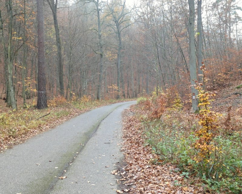 Pętla Reja w Sopocie - Sopot