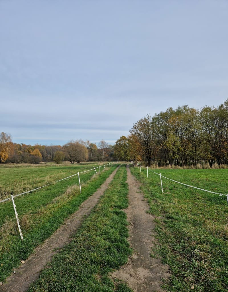 Malowniczy Szlak przez Naturę: Spotkanie ze Zwierzętami Hod - Piekary Śląskie