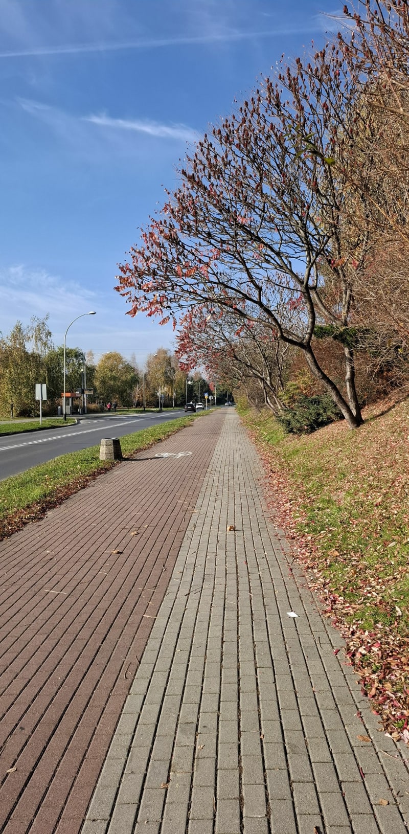 Wokół osiedla Krakowska Południe - Rzeszów