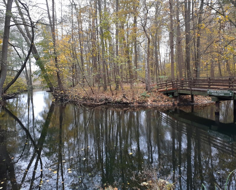 Trasa Park Dąbie - Rzeka Płonia - Czwarte - Szczecin