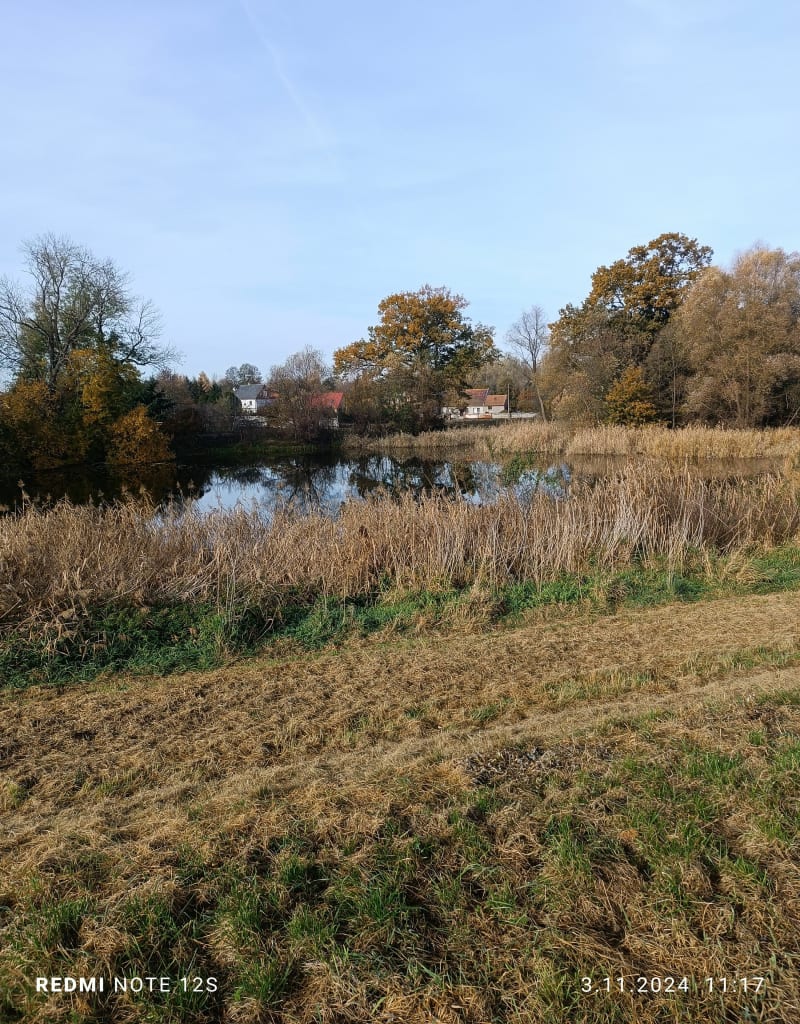 Szlakiem trzech stawów - Nowa Sól