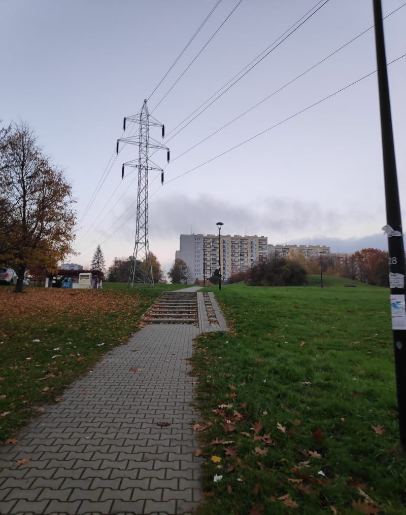 Owocowy poniedziałek - Kraków