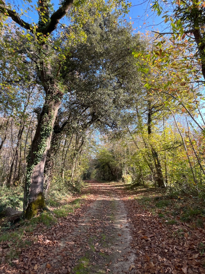 Balade à l’ombrière - Geay - Geay