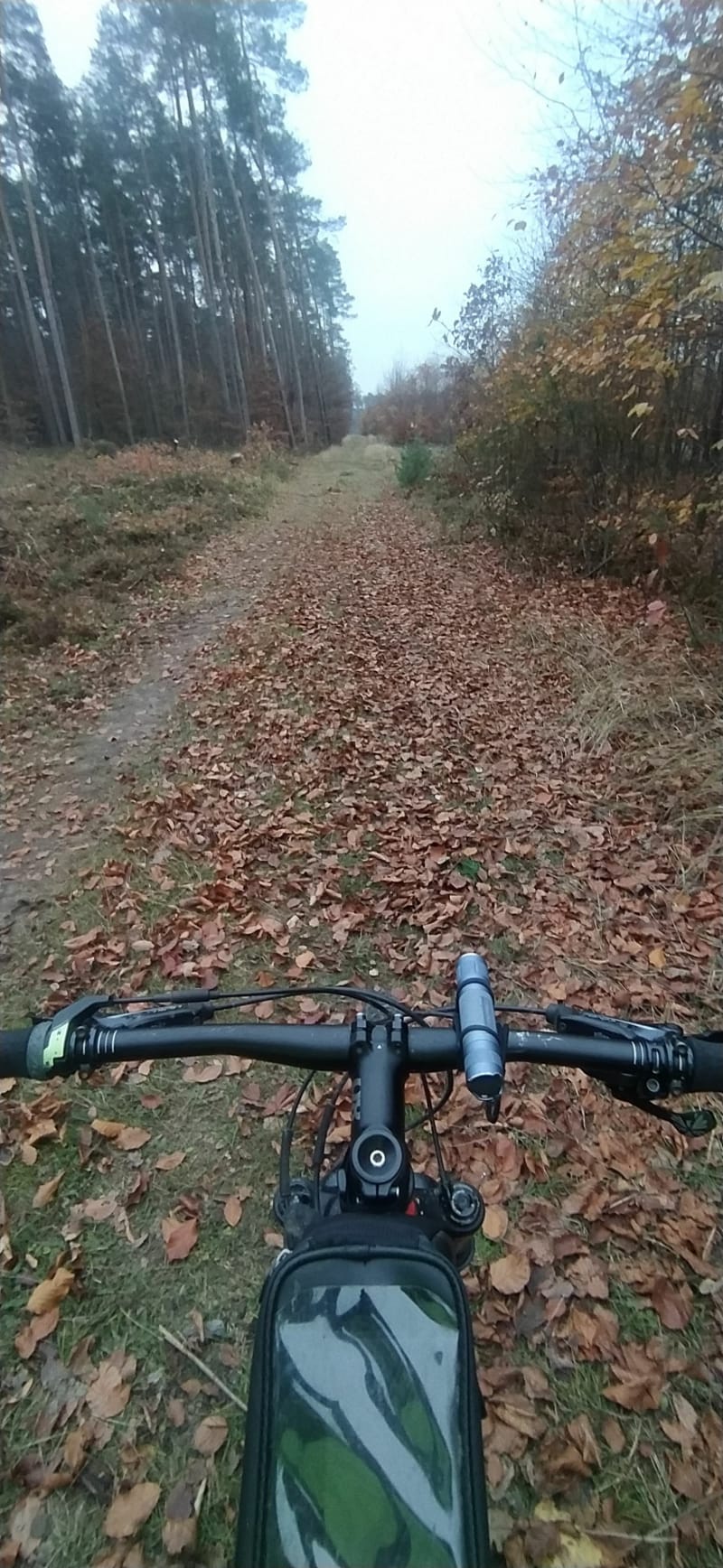 Gorzów śląski przez las do Rosoch i na mini single - Gorzów Śląski