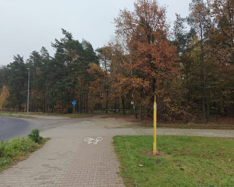 Pętla w okolicy Ostrowa Wielkopolskiego. - Ostrów Wielkopolski