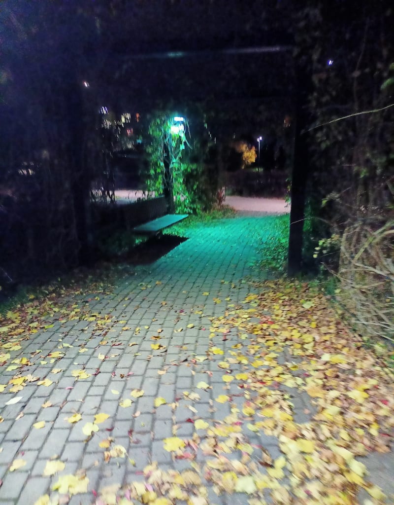 Park Znicza i Warszawa - Warszawa