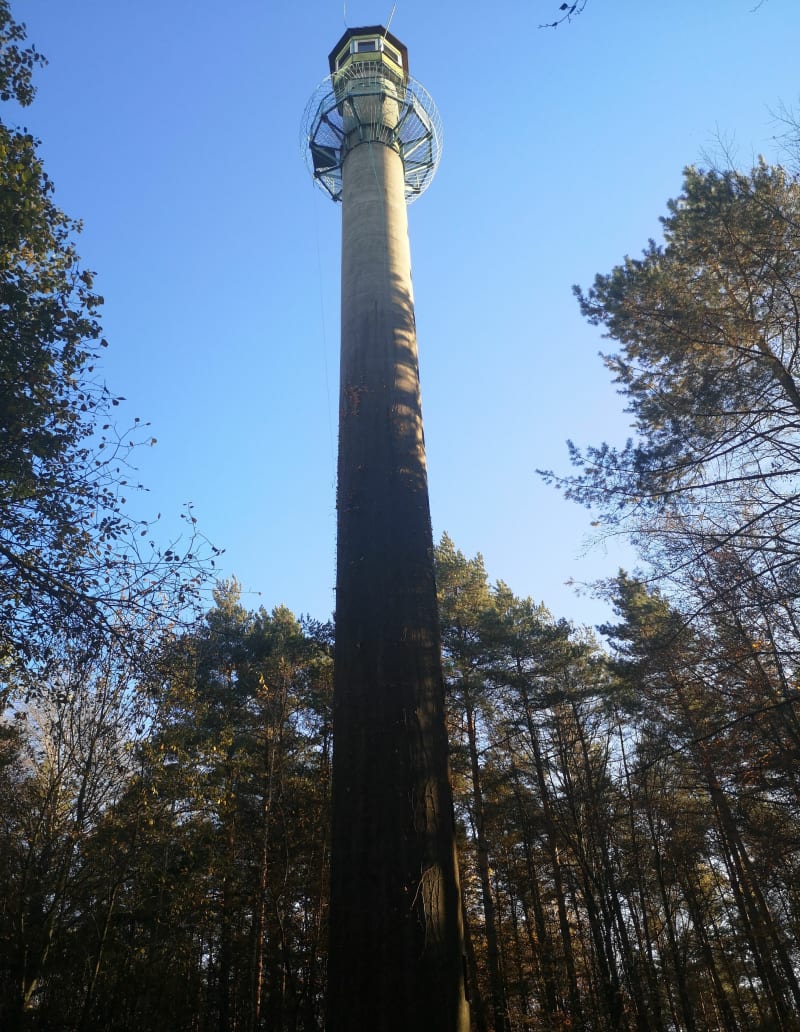 Pętla do wieży. - Dąbrowa Górnicza