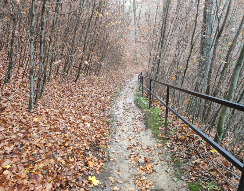 Spacer Doliną Eliaszówki - Czerna