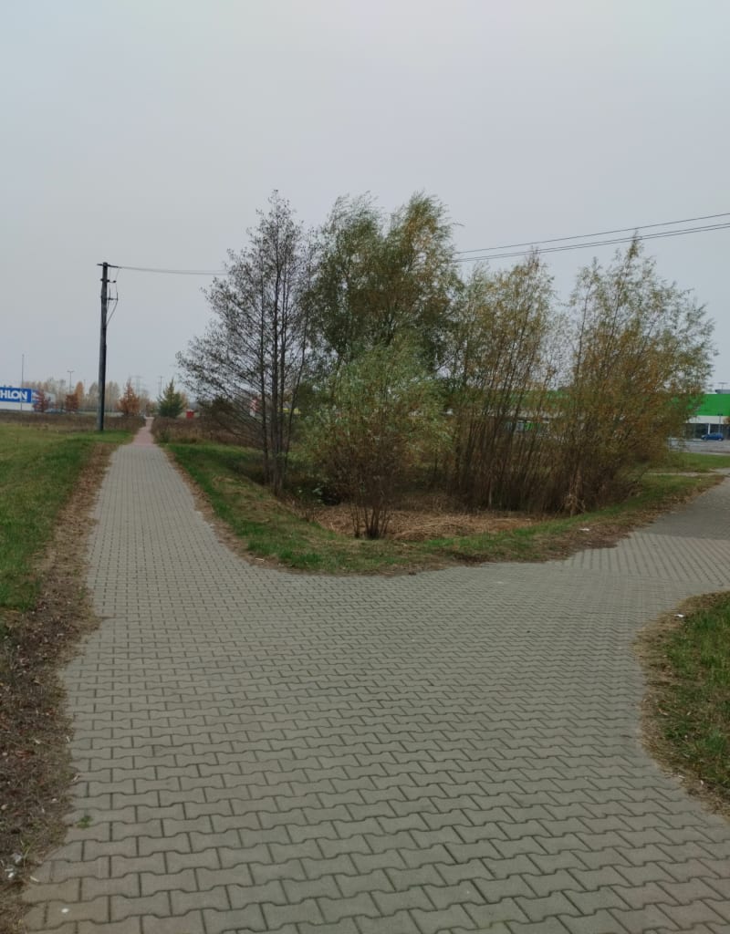 Centrum Graniczna - Płock