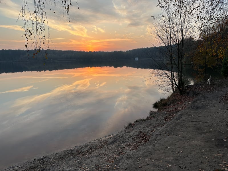 Indystrialnie - Park Radoszowy, staw Czarny - Katowice